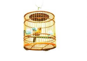 �e���������f��