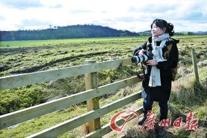 ����(b��o)ӛ�߱����K���m�ߵأ�����ľ�|(zh��)��ڵ�ԭ����