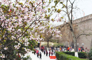 �h(hu��n)�ǹ��@��ęѻ���(j��ng)���_(k��i)�ţ��������������^����