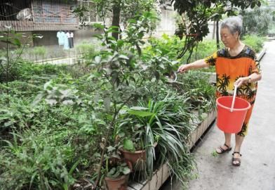 6��27����ͬ�Ƙ�M��8̖(h��o)Ժ���S�����ڽoԺ��ֲ�ˮ��