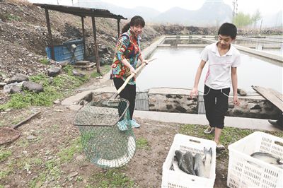 ��Ӵ��ǲ�ɫ����(d��ng)��ʢ��