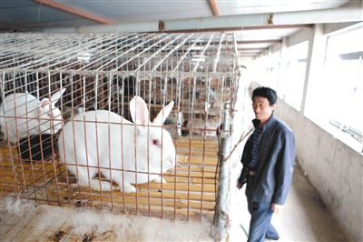 ��Ӵ��ǲ�ɫ����(d��ng)��ʢ��