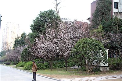 �����p������(d��ng)�r